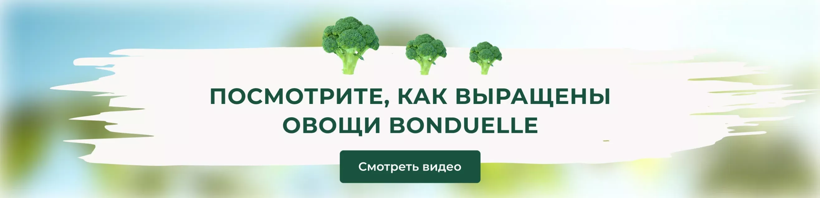 Посмотрите, как выращены овощи Bonduelle
